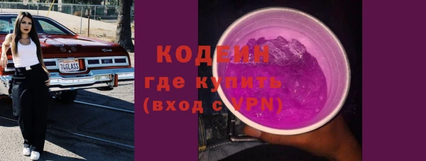прущие грибы Каменск-Шахтинский