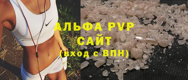 прущие грибы Каменск-Шахтинский