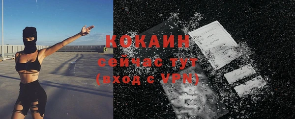 прущие грибы Каменск-Шахтинский