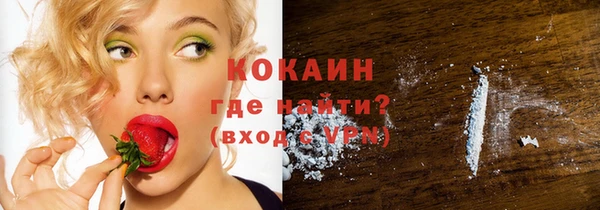 прущие грибы Каменск-Шахтинский
