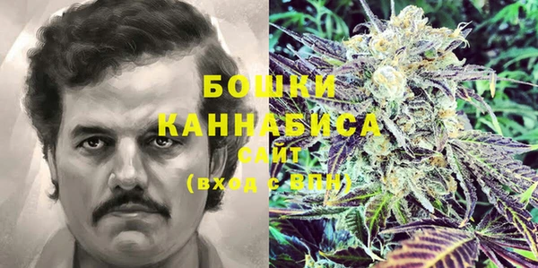 прущие грибы Каменск-Шахтинский