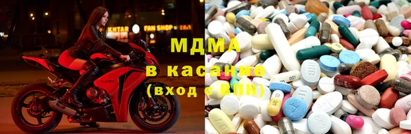 прущие грибы Каменск-Шахтинский