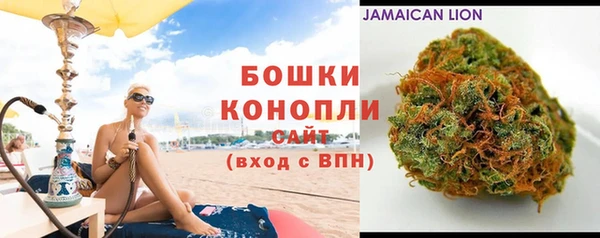 прущие грибы Каменск-Шахтинский