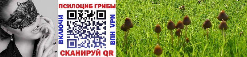 как найти наркотики  Ногинск  Галлюциногенные грибы мухоморы 